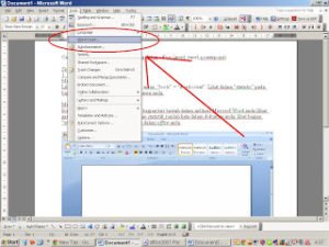 Hitung kata Word 2003