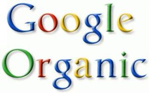 Google organik