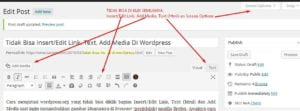Tidak Bisa Klik Insert/Edit Link, Add Media, Text (html) di blog Wordpress