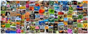 Ilustrasi kumpulan gambar atau foto (gambar:pixabay.com)