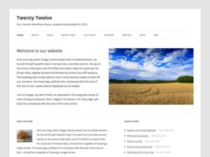 Tampilan Depan Twenty Twelve Wordpress Themes