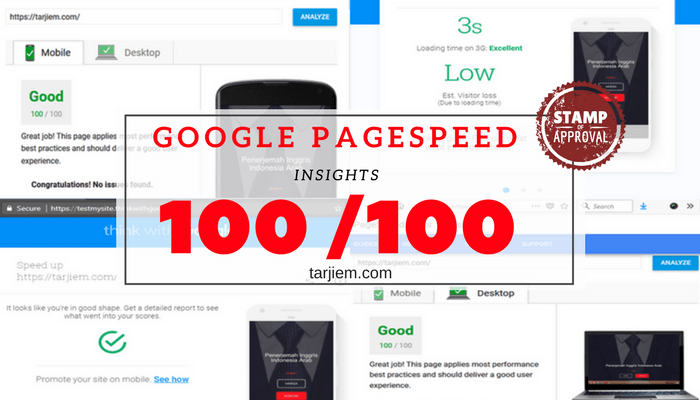 Google PageSpeed Insights 100/100 WordPress 5 Ribu Kata