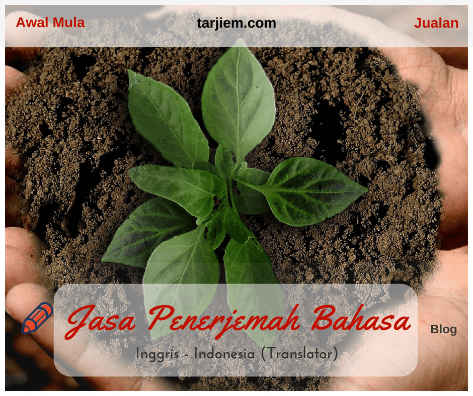 Awal Mula Jualan Jasa Penerjemah Bahasa Inggris Indonesia (Translator) - tarjiem.com