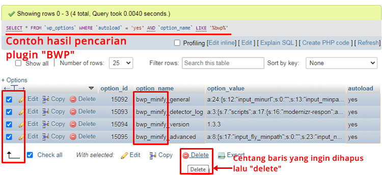 Contoh Cara Hapus Plugin wp_options BWP Minify option_name MySQL phpMyAdmin WordPress Database Contoh Cara Hapus Plugin wp_options BWP Minify option_name MySQL phpMyAdmin WordPress Database
