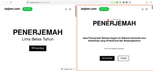 Firefox Split View
