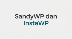 sandywp.com dan instawp.com